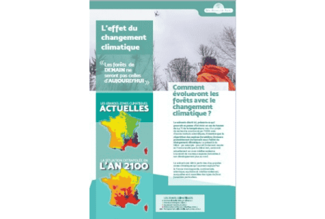 Fiche – L’effet du changement climatique