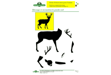 Image of Puzzle Cerf