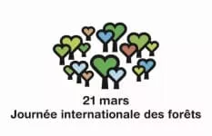 La Forêt s’invite à l’École