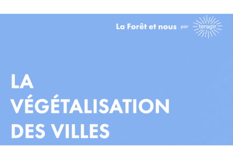 La végétalisation des villes