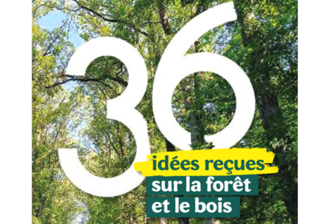 36 idées reçues sur la forêt et le bois