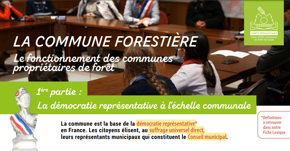 Fiche – Le fonctionnement des communes propriétaires de forêt