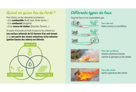 Fiche – La défense des forêts contre l’incendie