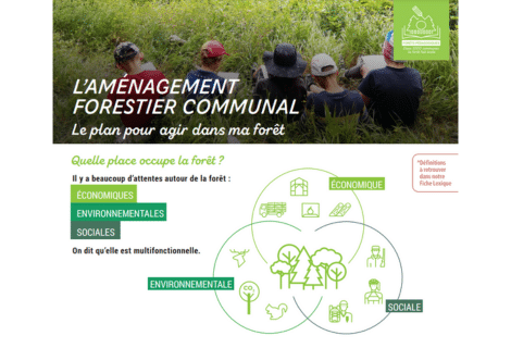 Fiche – L’aménagement forestier communal