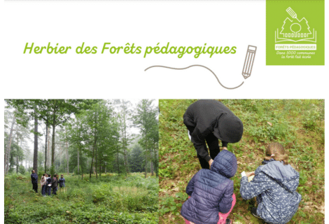 Herbier des Forêts pédagogiques