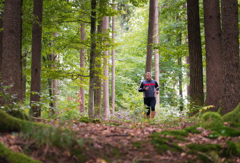 La forêt et moi