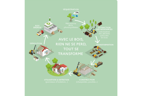 Infographie : la forêt et le bois, des alliés pour le climat