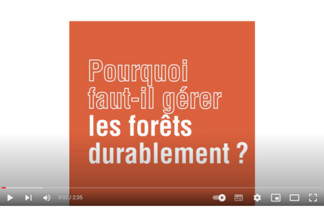 2 minutes pour comprendre la gestion durable des forêts