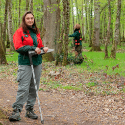 métiers forêt