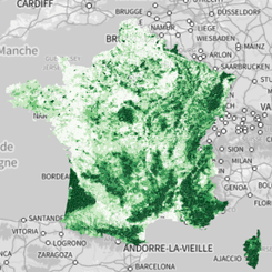 Carte surface forestière