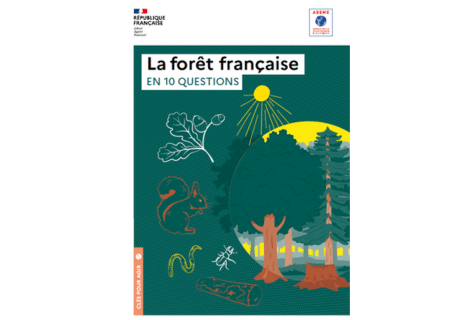 Image of La forêt française en 10 questions