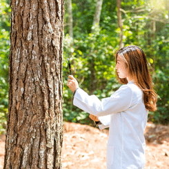 scientifique forêt
