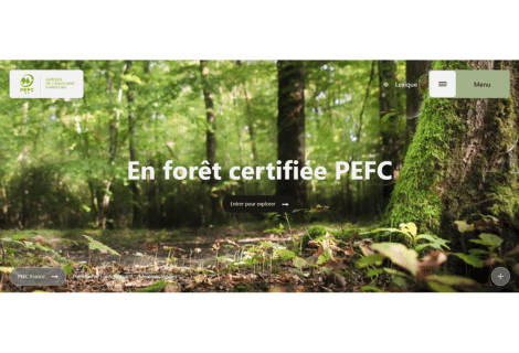 Image of En forêt certifiée PEFC