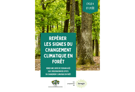 Image of Fiche – Repérer les signes du changement climatique en forêt