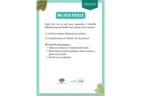 Fiche activité – Ma jolie feuille