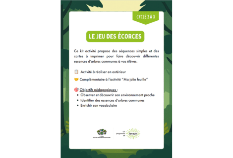 Kit activité – Le jeu des écorces